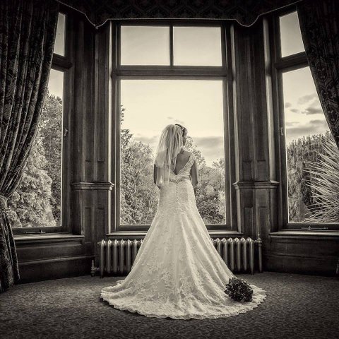 Wedding Photographers - Spinning Your Dreams Wedding Photography-Image 6471