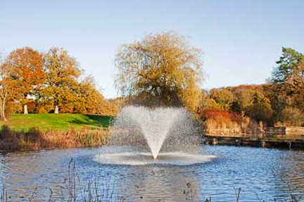 The lake and fountain provide a stunning backdrop for your photographs - Gatton Manor Hotel and Golf Club 