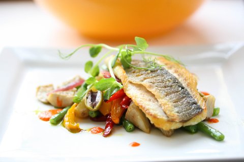 Wedding Catering and Venue Equipment Hire - Jacaranda Catering-Image 12210