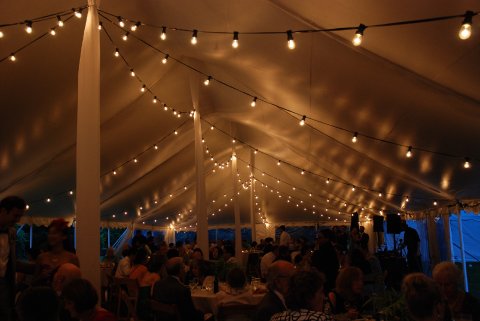 Wedding Marquee Hire - Queensberry Event Hire-Image 10189