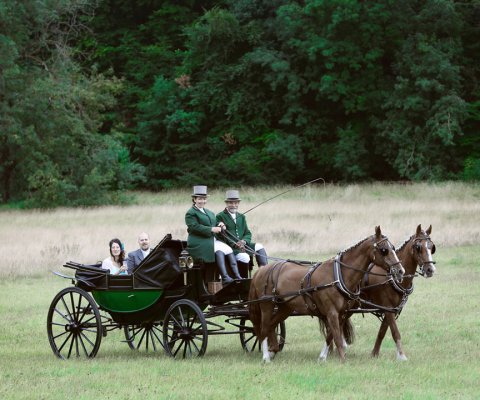 Chestnuts landau carriage - A W Jones Carriages