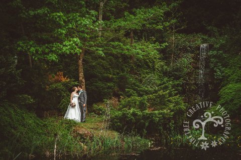 Wedding Photographers - Firetree Photography-Image 24623