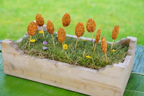 Wedding Marquee Hire - Coriander Group-Image 19026