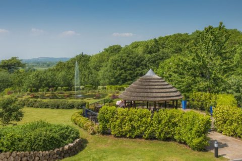 DoubleTree by Hilton Cadbury House - Doubletree by Hilton Cadbury House