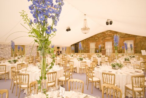Wedding Marquee Hire - North Down Marquees-Image 28531