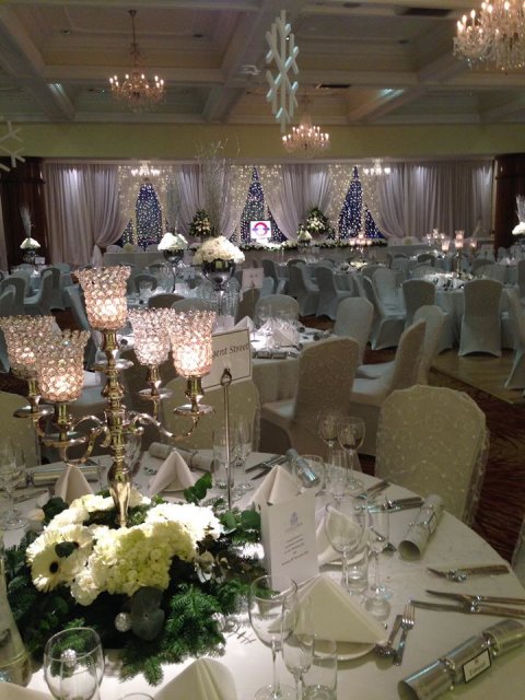 Fairylight backdrop - Add a Little Sparkle