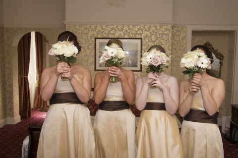 Capture The Day - Chesterphotography-Image 12997