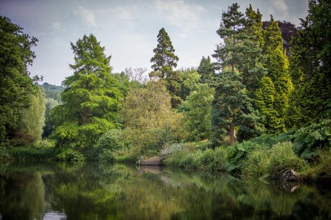 The Lake - Mount Ephraim Gardens