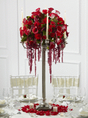 Decadent candelabra - Bottom Of The Garden Flowers