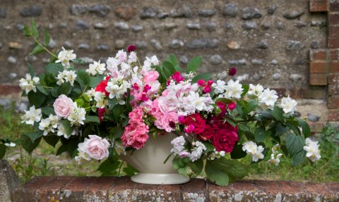 Wedding Flowers - Rachel Grimes Flowers-Image 14422