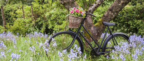 Welcome to The Flower Patch - The Flower Patch