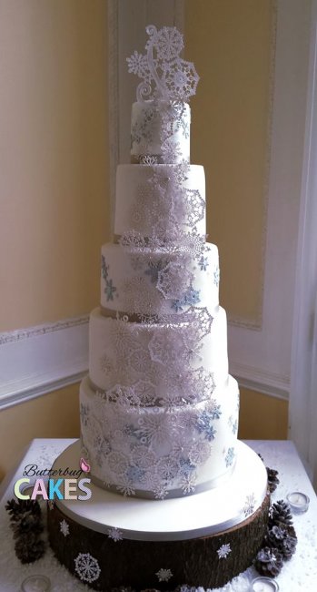 Wedding Cakes - Butterbug Cakes-Image 24568