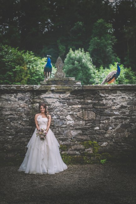 Freshpics.co.uk North Wales Wedding Photographer - Fresh Photography 