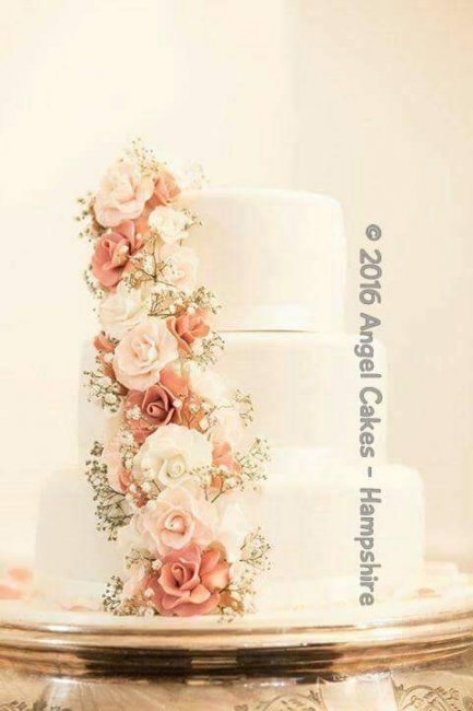 Wedding Cakes and Catering - Angel Cakes - Hampshire -Image 37174