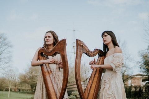 Wedding Music and Entertainment - 2 of Harps-Image 47613