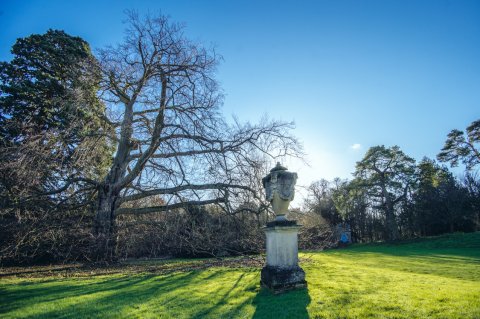 Wedding Marquee Hire - Belchamp Hall-Image 28228