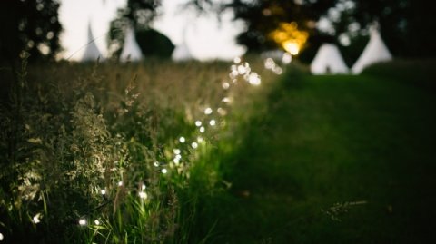 Wedding Reception Venues - Pennard House-Image 41487