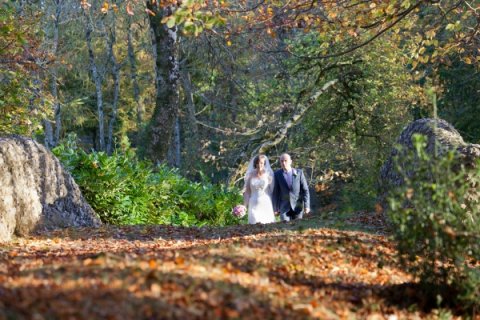 Wedding Photographers - Photography by Marion Frances-Image 38852