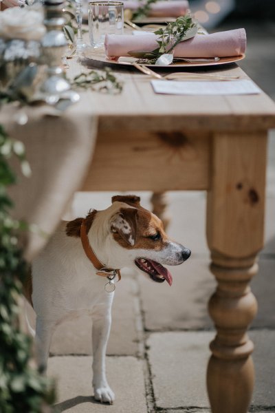 Wedding Ceremony and Reception Venues - Cosawes Barton-Image 44278