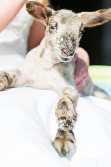 Outdoor Wedding Venues - Doxford Barns-Image 26543