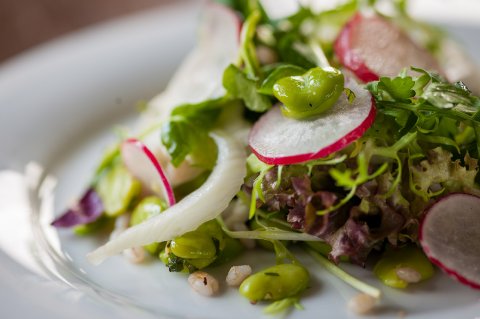 Summer salad - The Rosendale