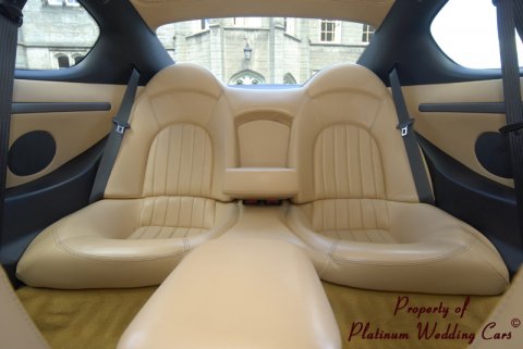 Wedding Cars - Platinum Wedding Cars-Image 33060