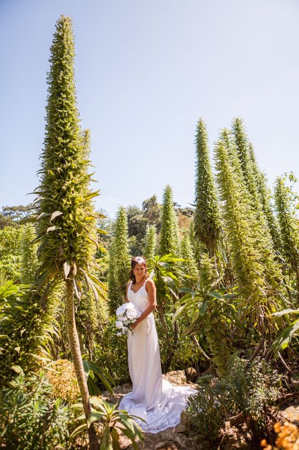 Wedding Ceremony Venues - Ventnor Botanic Garden-Image 14037