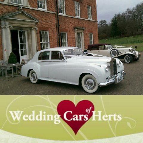 Wedding Cars - Wedding Cars Of Herts-Image 17878