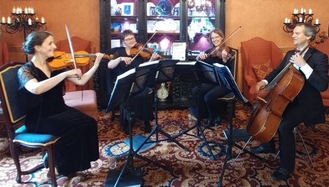 North East Soiree string quartet at Langley Castle - North East Soiree String Quartet