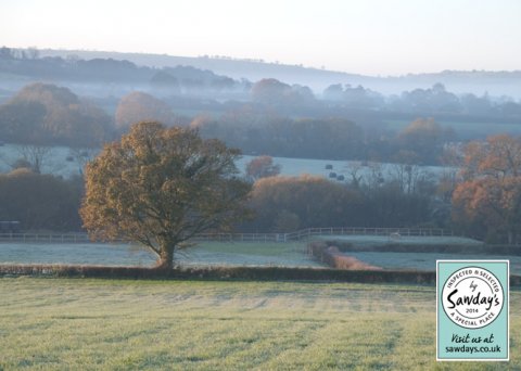View from decking at Fairways Bed and Breakfast in Crewkerne in Somerset - Fairways Bed and Breakfast