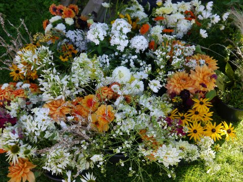 Buckets of DIY flowers September 2015 - Bramble Flowers