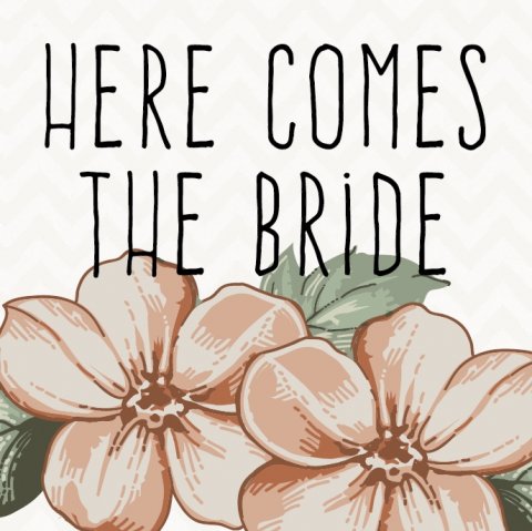 Wedding Stationery - Here Comes The Bride Ltd-Image 19215