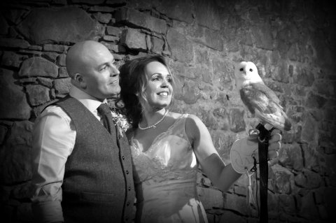 HoHoots Owls Wedding Wings - Friends Of Dundonald Castle SCIO