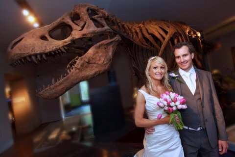 Fossil Stories Gallery - The Great North Museum: Hancock