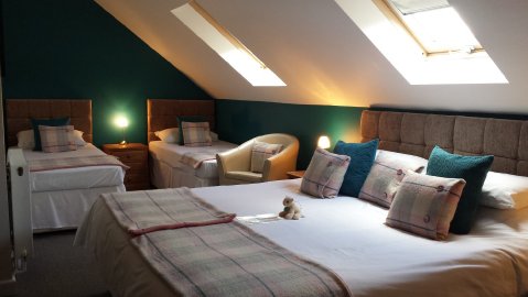 Stag and Hen Services - Llety Cynin-Image 25243