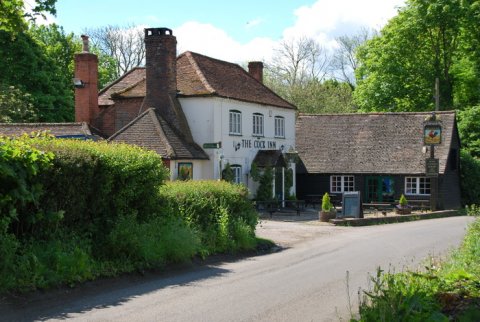 Wedding Reception Venues - THE COCK INN-Image 18931