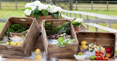 Wedding Caterers - Bonnie May Food + Events-Image 31946