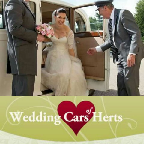 Wedding Cars - Wedding Cars Of Herts-Image 17872