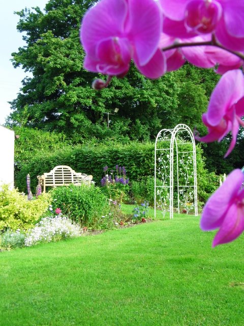 Garden - Lordleaze Hotel