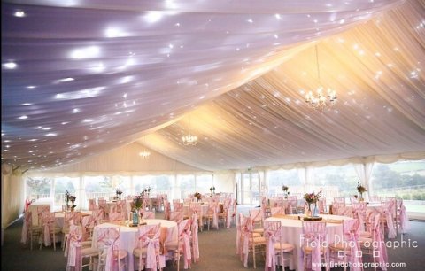 Wedding Flowers - Avant Garden Weddings-Image 8761