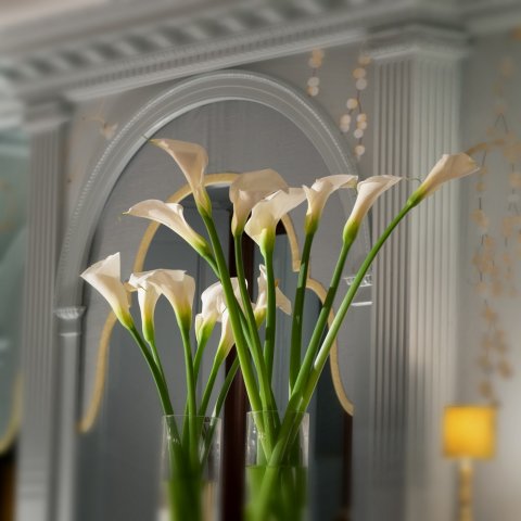 Bar - Cromlix and Chez Roux