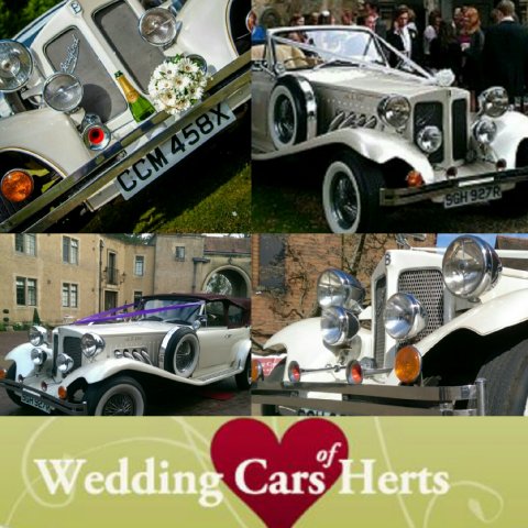 Wedding Cars - Wedding Cars Of Herts-Image 17881