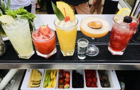 Delicious Cocktails - ProCocktails