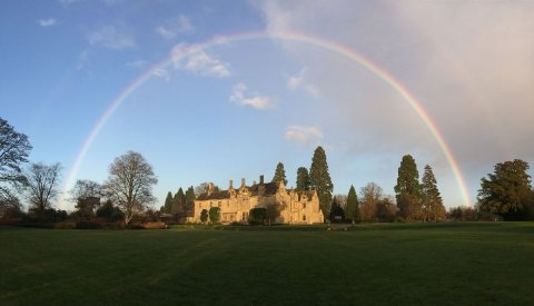 Wakehurst - Wakehurst 