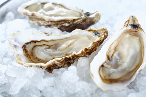 Wedding Ceremony and Reception Venues - Loch Fyne Oysters-Image 9874