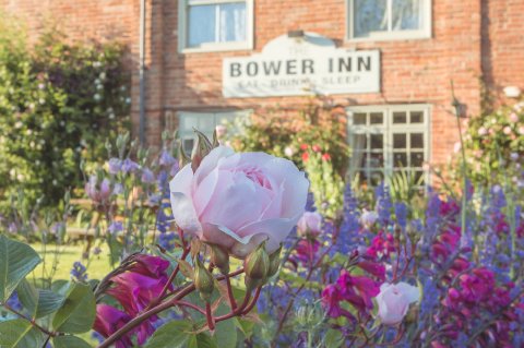 Wedding Reception Venues - The Bower Inn Ltd-Image 12703