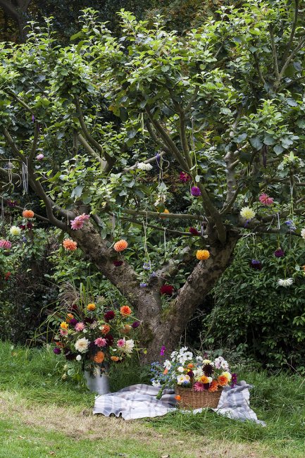 Autumn Picnic - The Flower Patch