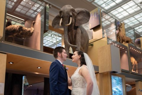 Great North Museum: Hancock wedding photograph by Laurence Sweeney Photography - The Great North Museum: Hancock