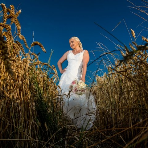 Wedding Photo Albums - Altered Images-Image 39172