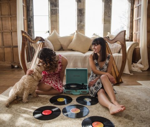 Wedding Music and Entertainment - 2 of Harps-Image 47617